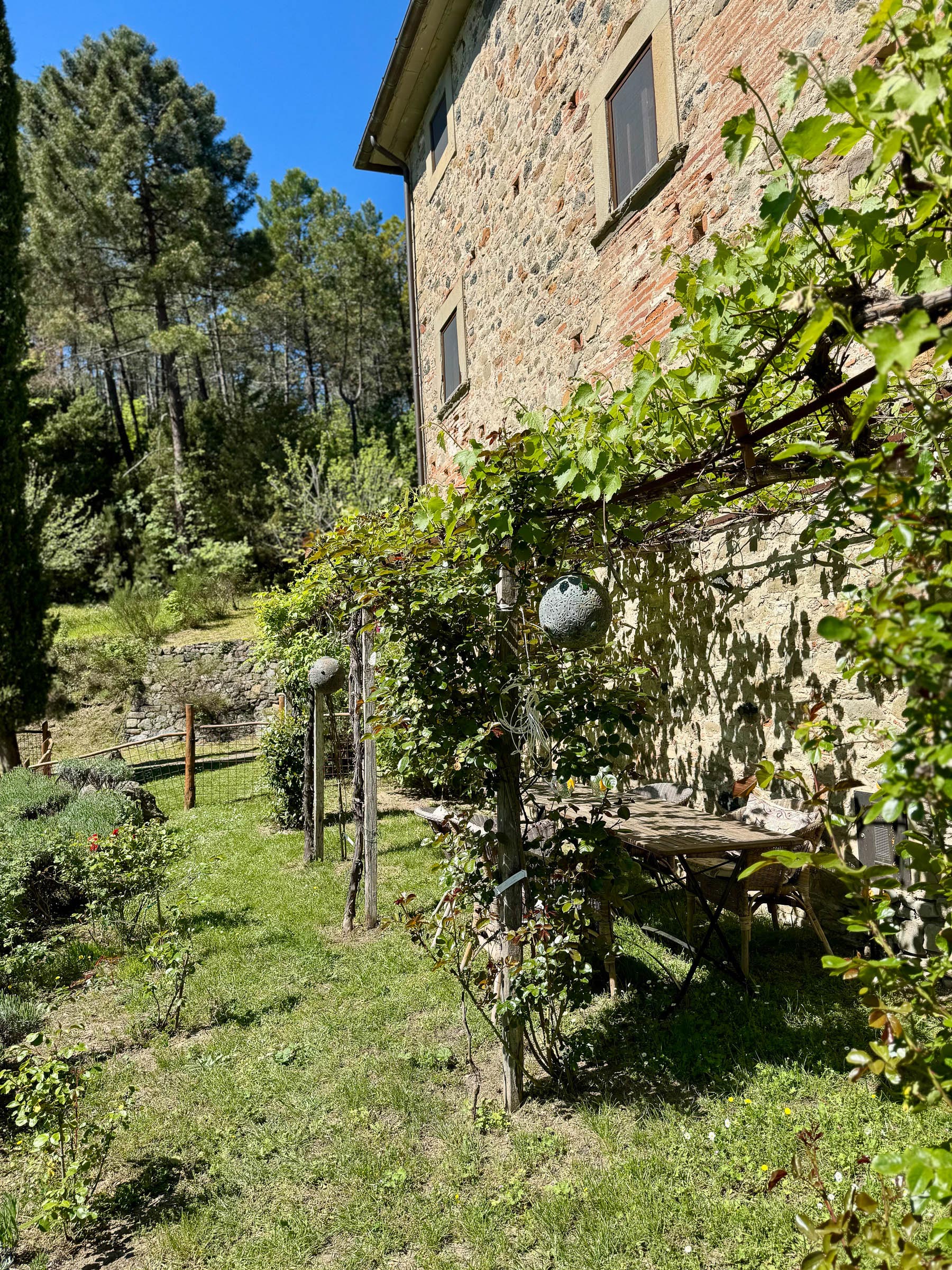 Stone facade beside a vine-covered pergola sheltering an outdoor table, garden path lined with young staked saplings