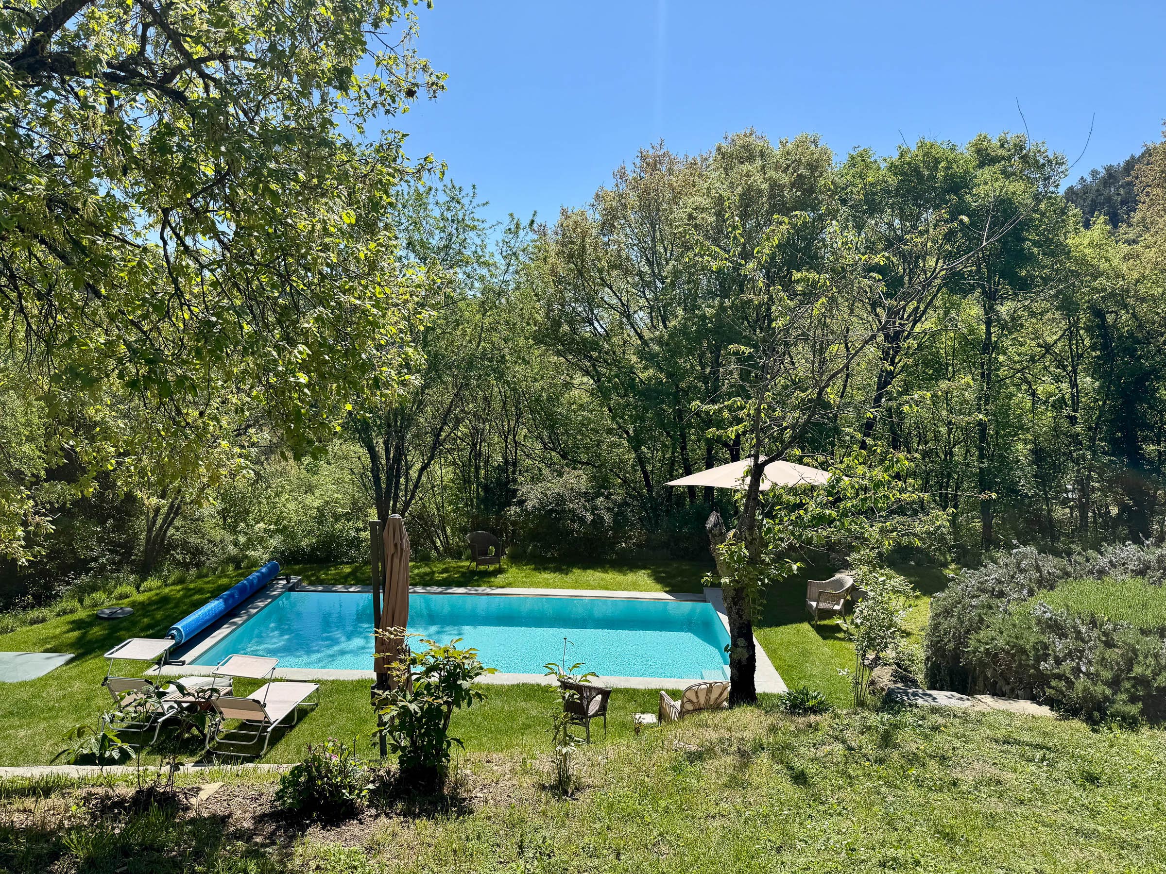 Elevated view of the swimming pool surrounded by trees, parasol and loungers at the edge