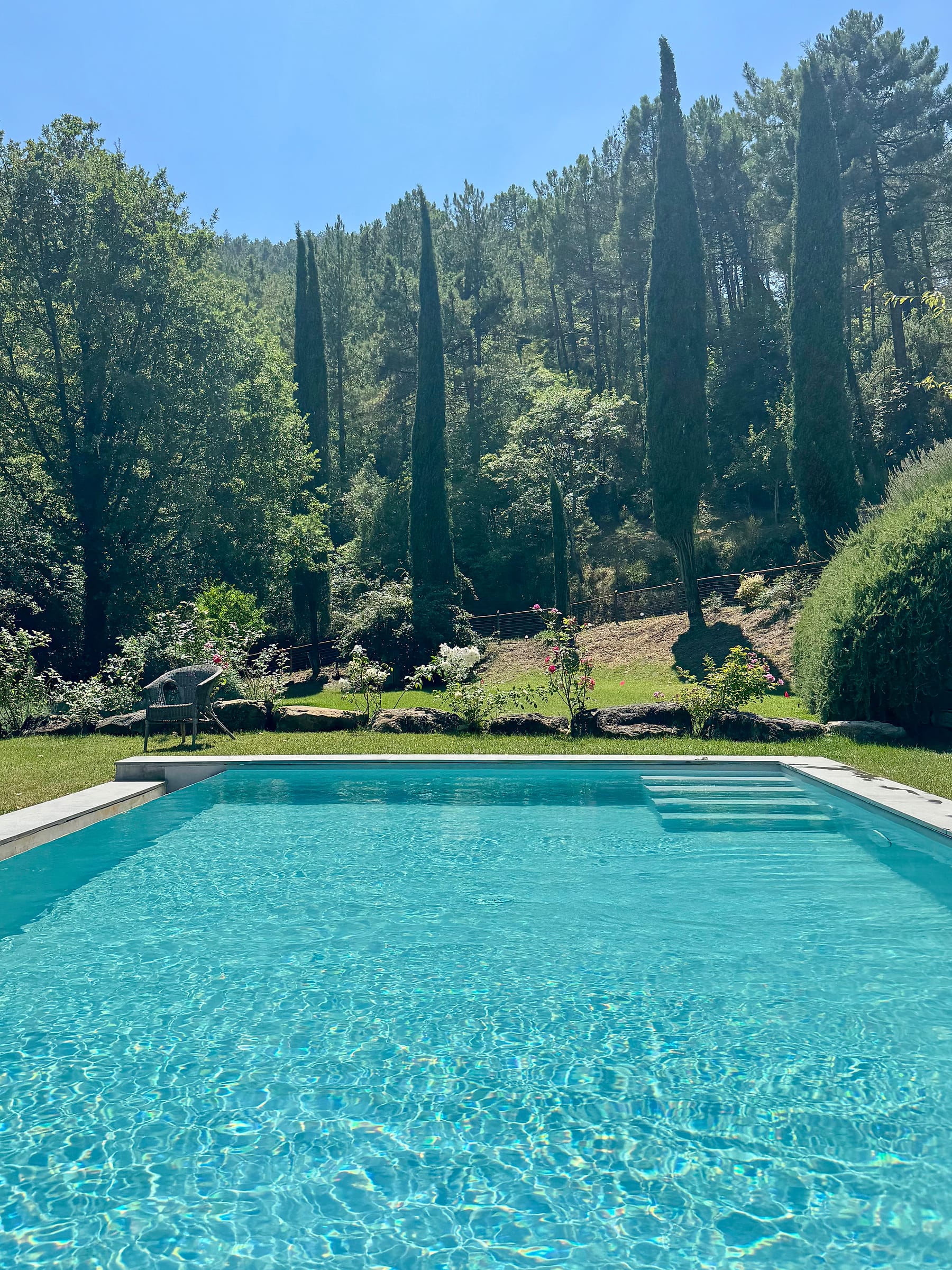 The pool in full sun, cypresses and dense green woodland climbing the hillside beyond it